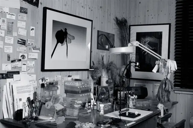 Flytying for beginners Barry Ord Clarke Lær de grunnleggende stegene 