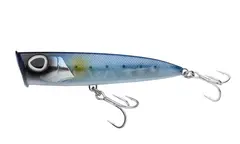 Berkley DEX Mullet Popper Sardine 14,5cm Popper for store saltvannspredatorer