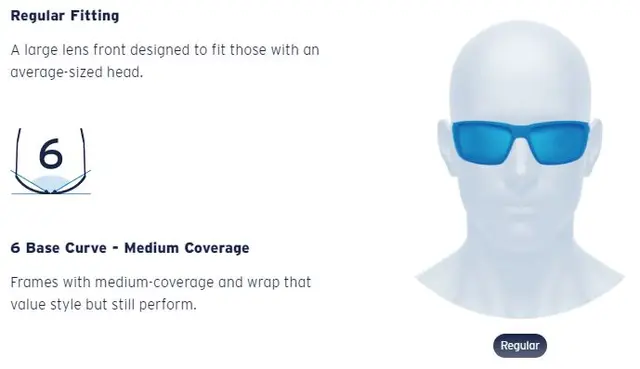 Costa Del Mar Paunch Black Gray 580P 