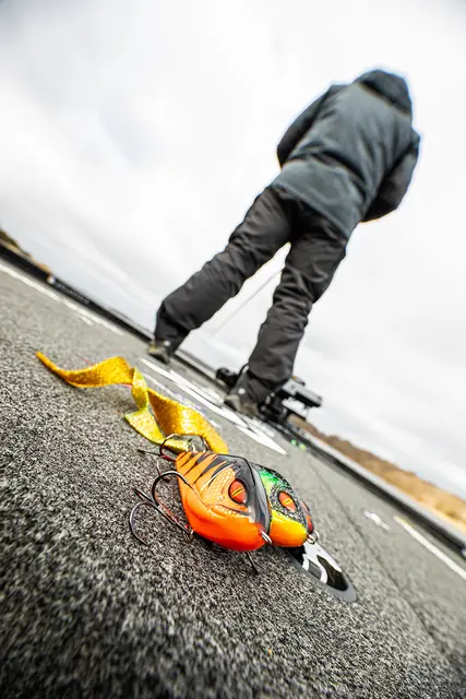 Daiwa Prorex Lazy Jerk Distance Steel Grey 