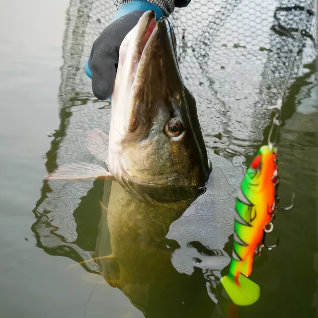 Daiwa Prorex Lazy Shad 16cm Headlight 