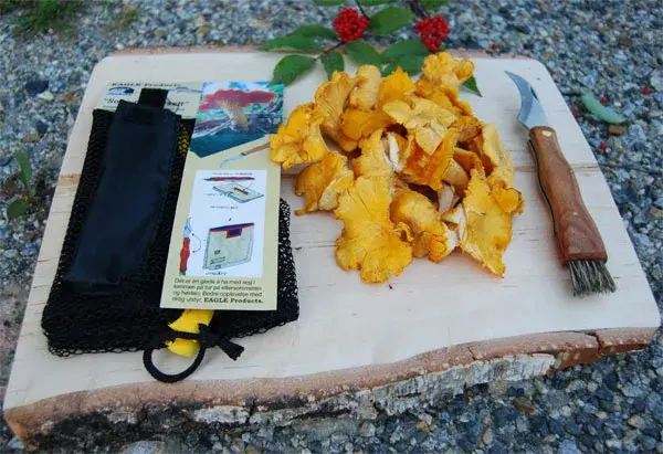 Eagle Sopp-plukk sett Skarp foldbar kniv m/børste samt nett 