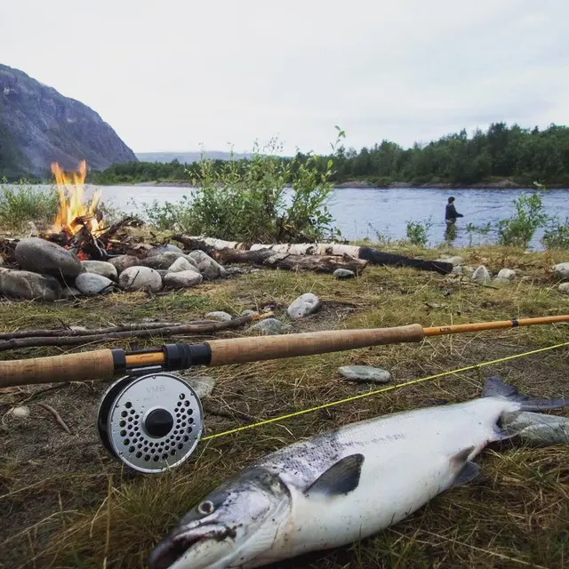 Effektivt laksefiske 