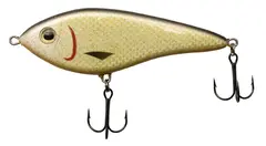 Westin Swim - Official Roach 120mm / 53g -  Intermediate