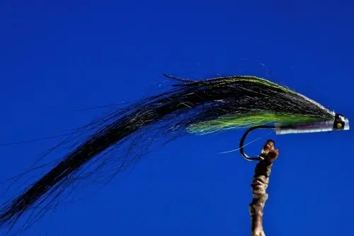 Sunray Shadow Original Green Small 