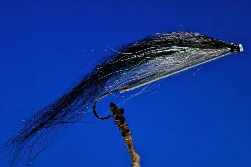 Sunray Shadow - Pearl Large 