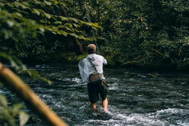 Fishpond Switchback 2.0 Hofteveske i resirkulert materiale 