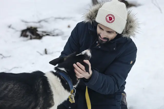 Fjällräven 1960 Logo Hat Caper Green Behagelig strikkelue i lammeull 