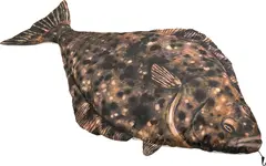 Fladen kosedyr Kveite XXL 200cm Herlige kosedyr for ekte fiskere