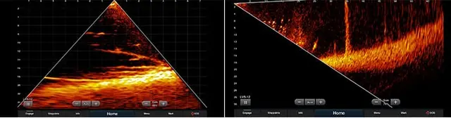 Garmin Panoptix™ LiveScope LVS12 Live bilde under båten, hekkmontering 