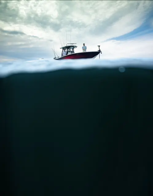 Garmin LiveScope XR system Med GLS 10™ og LVS62-svinger 