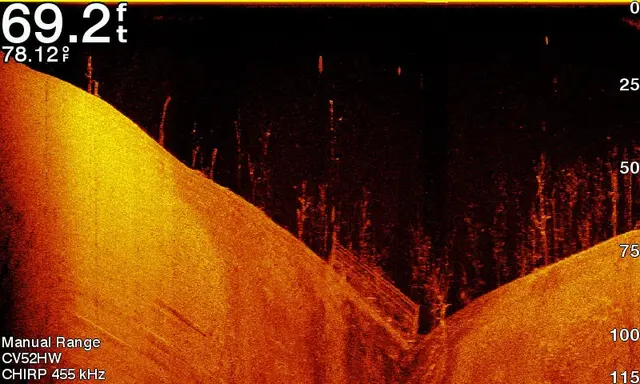 Garmin ECHOMAP™ Plus 42cv CHIRP & CHIRP ClearVü 