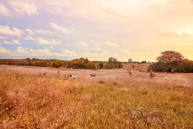 Garmin Alpha 10 Bli med på jakten med håndholdt enhet 