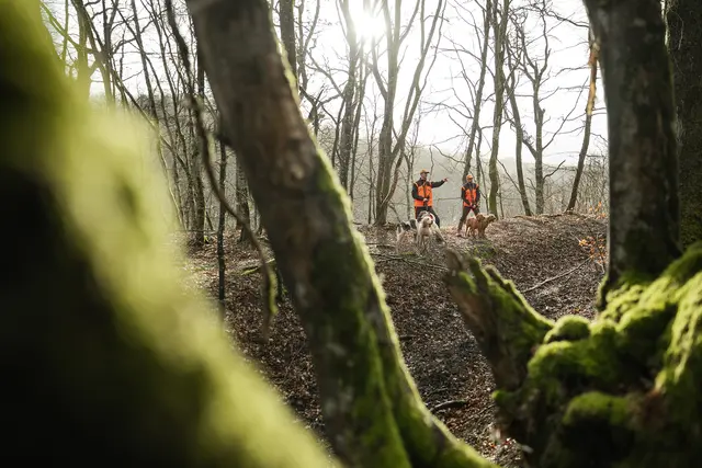 Garmin Alpha 10 Bli med på jakten med håndholdt enhet 