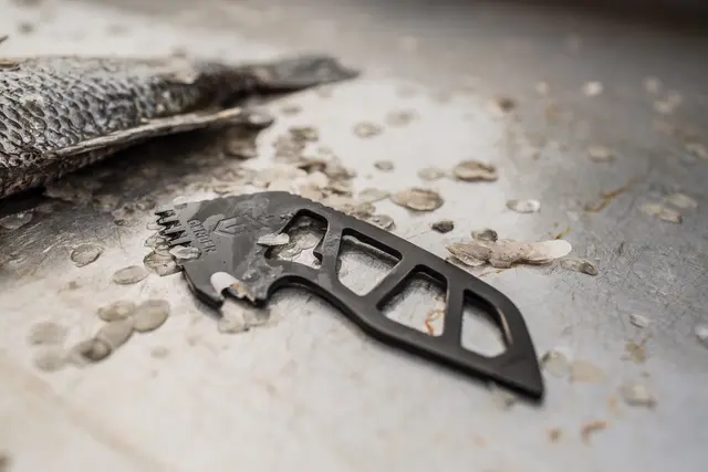 Gerber Gutsy Gut Scoop Scaler Silver Skjellskarape med bukåpner og opptrekker 