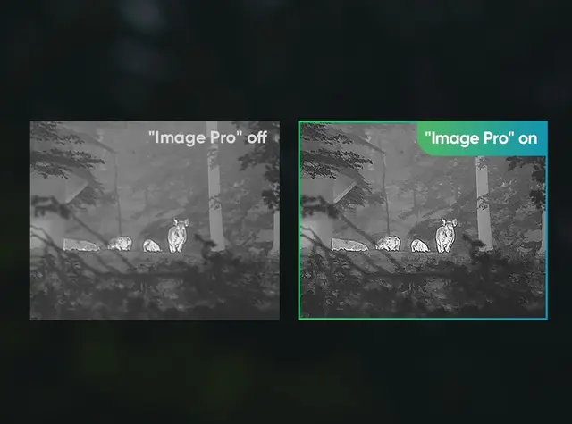 Hikmicro Falcon FQ25 Termisk monokular håndholdt kikkert 