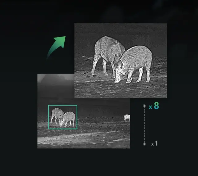 Hikmicro Falcon FQ25 Termisk monokular håndholdt kikkert 