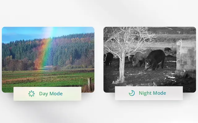 Hikmicro Raptor RQ50LN 940nm Termisk binokulær kikkert med IR 