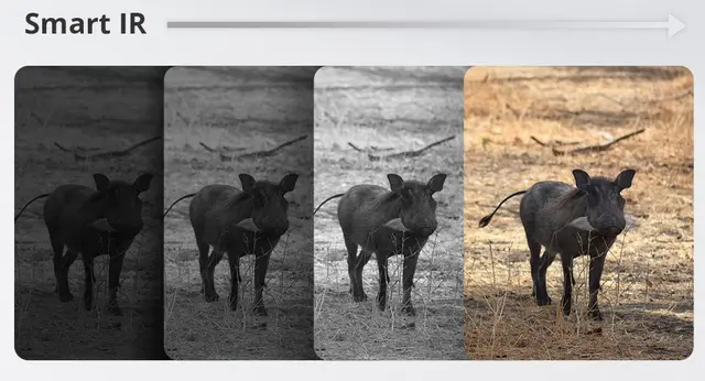 Hikmicro Raptor RQ50LN 940nm Termisk binokulær kikkert med IR 