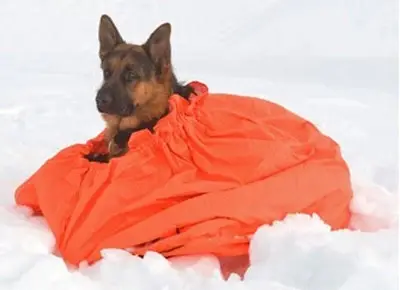 Jerven Jervehiet Hundepose Large Orange Fjellduken for hunden din - inntil 40kg 