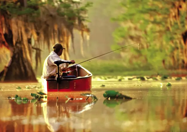 Minn Kota Endura MAX 55, 36" Elektrisk båtmotor, m/batterindikator 