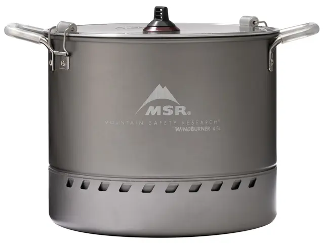 MSR WindBurner Stock Pot Kjele - 4,5L 