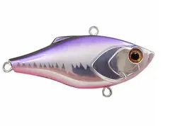 Mustad Rouse Vibe 50S Chrome Purple Back
