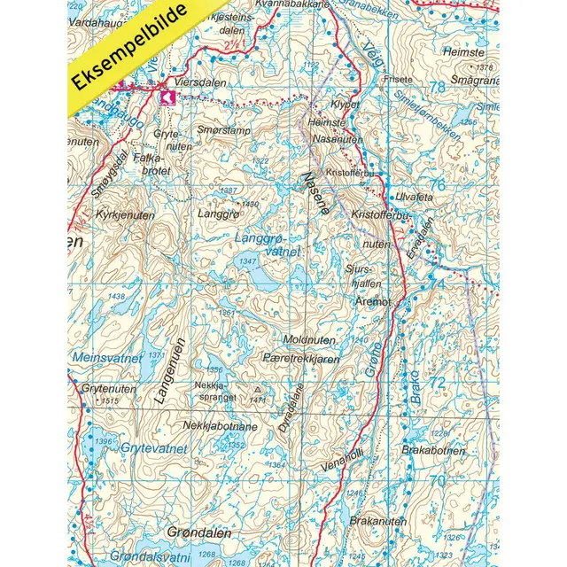 Nordeca Turkart DNT Hardangervidda Vest 1:100.000 med DNT turinformasjon 