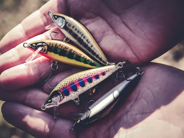 Rapala CountDown Elite GDGO 9,5cm Wobbler med maksimal kastedistanse 