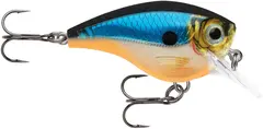 Rapala BX Brat 6&#39; BGH Crank-wobbler perfekt til abborfiske