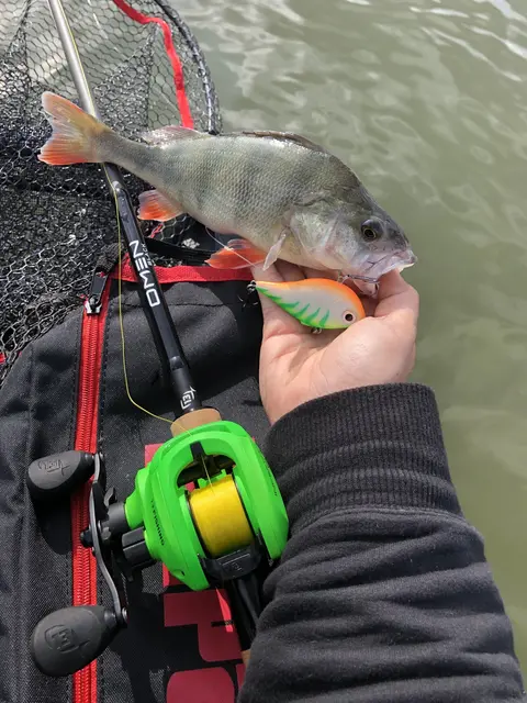 Rapala Rippin Rap VDH 5cm Langtkastende vibrerende wobbler 