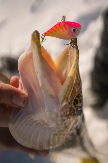 Rapala Rippin Rap VDH 5cm Langtkastende vibrerende wobbler 