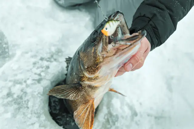 Rapala Rippin Rap VDH 5cm Langtkastende vibrerende wobbler 