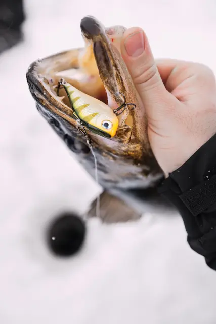 Rapala Rippin Rap VDH 5cm Langtkastende vibrerende wobbler 