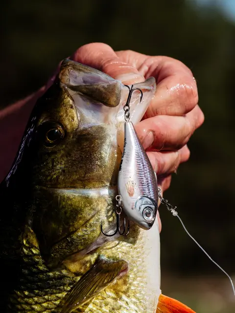 Rapala Rippin Rap VDH 5cm Langtkastende vibrerende wobbler 