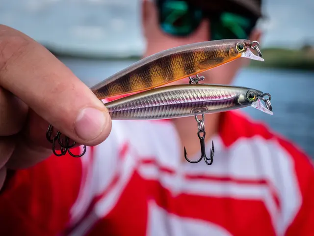 Rapala Shadow Rap HLW 7cm Imitasjon av døende byttefisk 