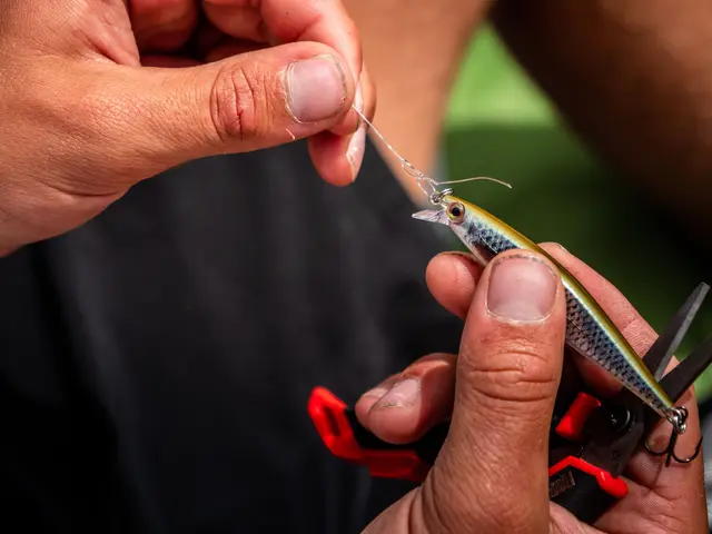 Rapala Shadow Rap HLW 7cm Imitasjon av døende byttefisk 
