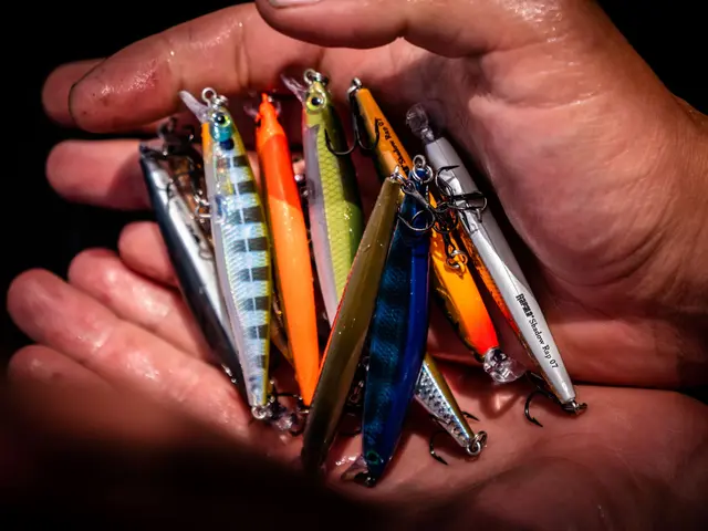 Rapala Shadow Rap HLW 7cm Imitasjon av døende byttefisk 