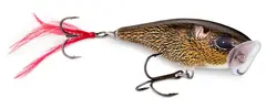 Rapala Skitter Pop FML 7cm Lettfisket og langtkastende popper