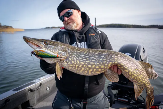 Rapala X-Rap Haku GND Release Rig Jerkbait 