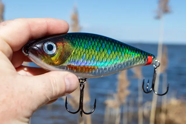 Rapala X-Rap Haku GND Release Rig Jerkbait 
