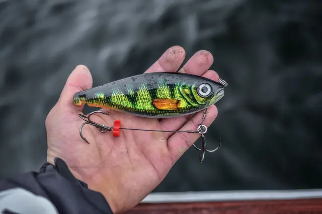 Rapala X-Rap Haku GND Release Rig Jerkbait 