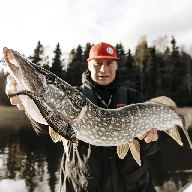 Rapala X-Rap Peto SCRR 14cm Saktesynkende hybridagn i trigger farger 