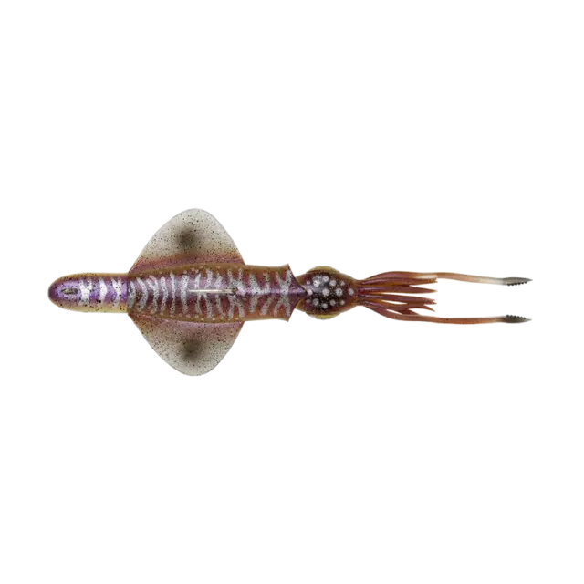 Savage Gear Swim Squid RTF 18cm 90g S Cuttlefish 