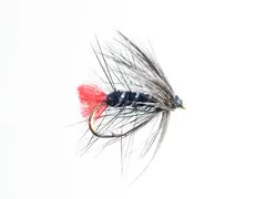 Zulu Black #12 Dobbelkrok