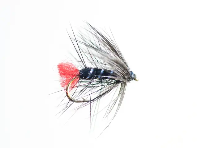 Zulu Black #12 Dobbelkrok 