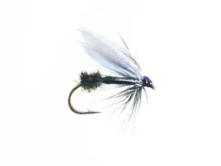 Black Ant #10 Dobbelkrok