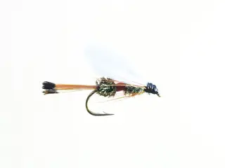 Royal Coachman #10 Dobbelkrok