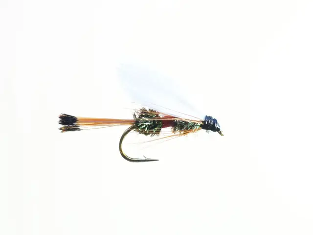 Royal Coachman #12 Dobbelkrok 