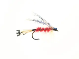 Teal &amp; Red Dobbelkrok